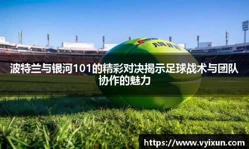 v66体育官网