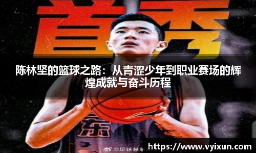 v66体育官网